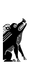 戰豬_e0040579_51932.png