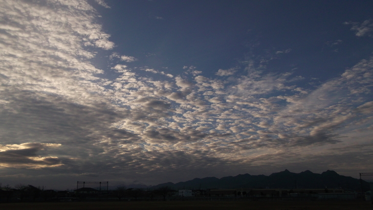 c0212083_21392244.jpg