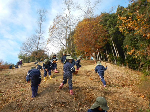 野いちごを収穫しました♪_c0194485_16213067.jpg