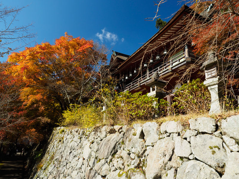 No.224　奈良県　談山神社　紅葉_b0120889_22445218.jpg