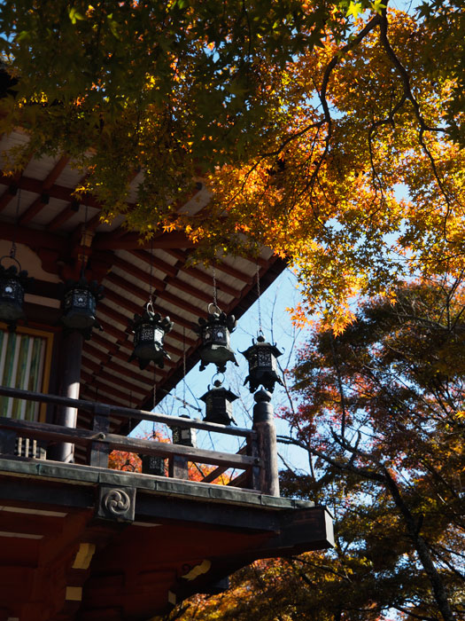 No.224　奈良県　談山神社　紅葉_b0120889_22451794.jpg