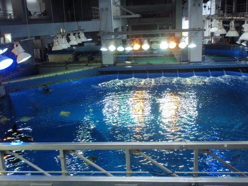 d0318191_16054434.jpg