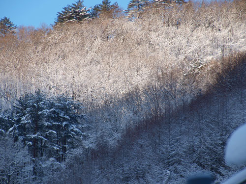 f0236291_625022.jpg
