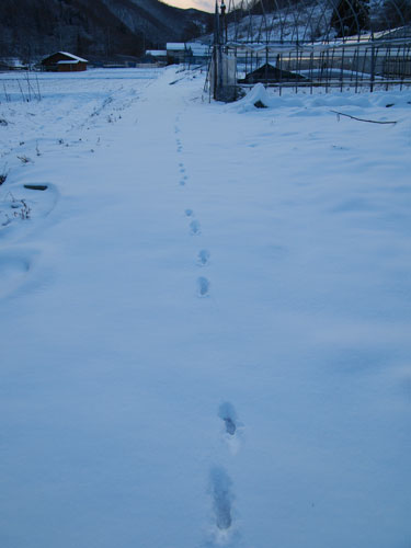 f0236291_631090.jpg