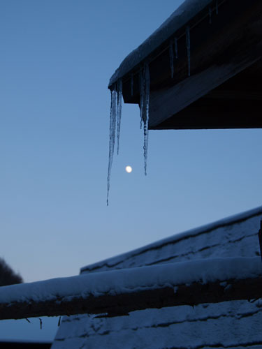 f0236291_641226.jpg