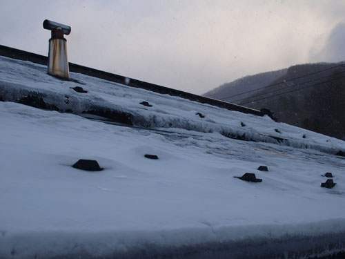 f0236291_662589.jpg