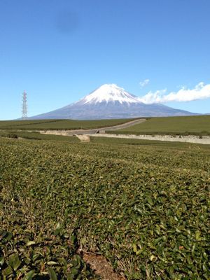 f0138995_140339.jpg