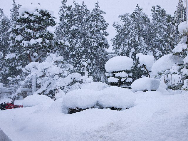 c0008502_05365086.jpg