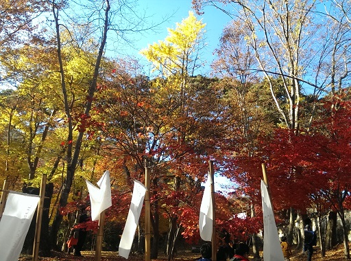 a0140305_2423896.jpg
