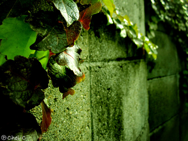 a0154706_1314915.jpg