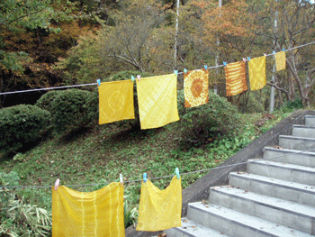 b0126307_914740.gif