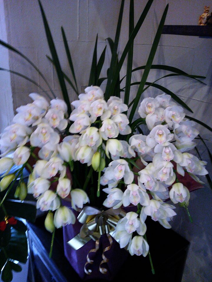 f0276708_15161961.jpg