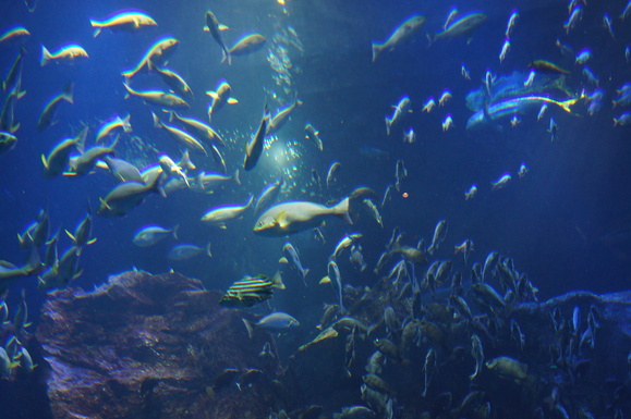 d0253009_12124211.jpg