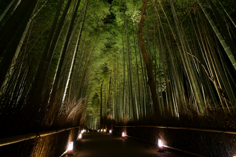 嵐山花灯路　竹林の小径_e0177413_18243670.jpg