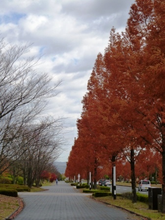 e0233614_176226.jpg
