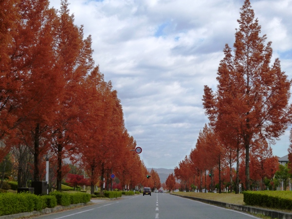 e0233614_1783357.jpg