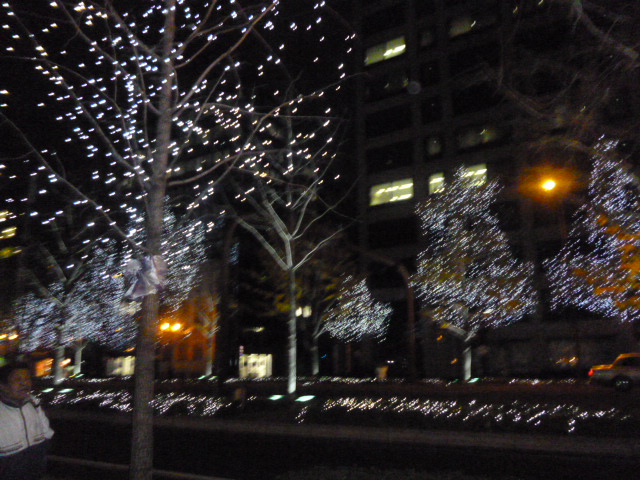 c0152015_86514.jpg