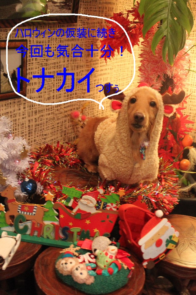 幕張イオンがハンパない！！_b0130018_0285145.jpg