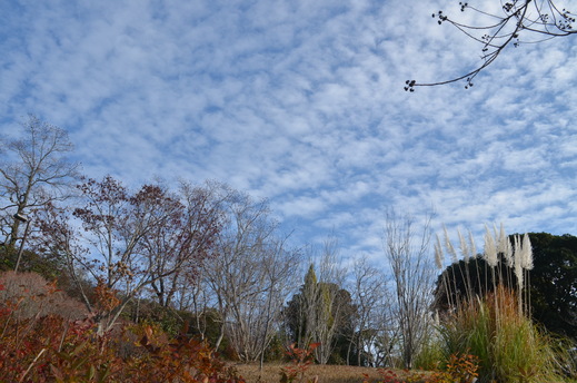 e0135518_1152125.jpg
