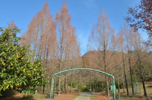 e0135518_12241925.jpg