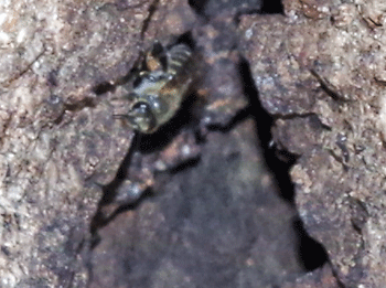 f0232920_11294226.gif