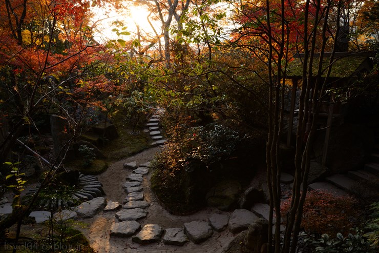 京都 宝泉院 ～紅葉～_d0319222_1315169.jpg