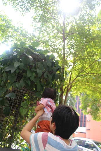 c0258123_23343740.jpg