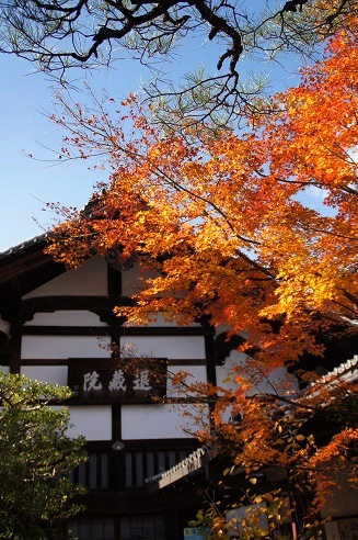 「余香苑」　　　～妙心寺・退蔵院（京都）～_c0235725_20583939.jpg