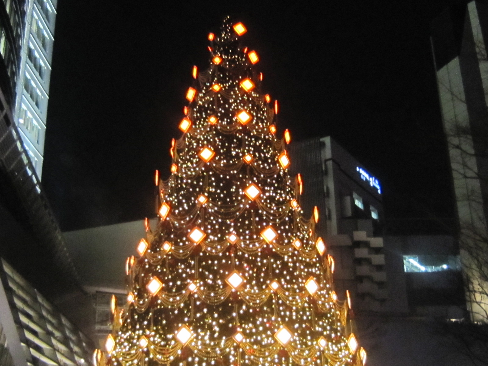 ♪２０１３★クリスマス模様（六本木）_d0162225_231144.jpg