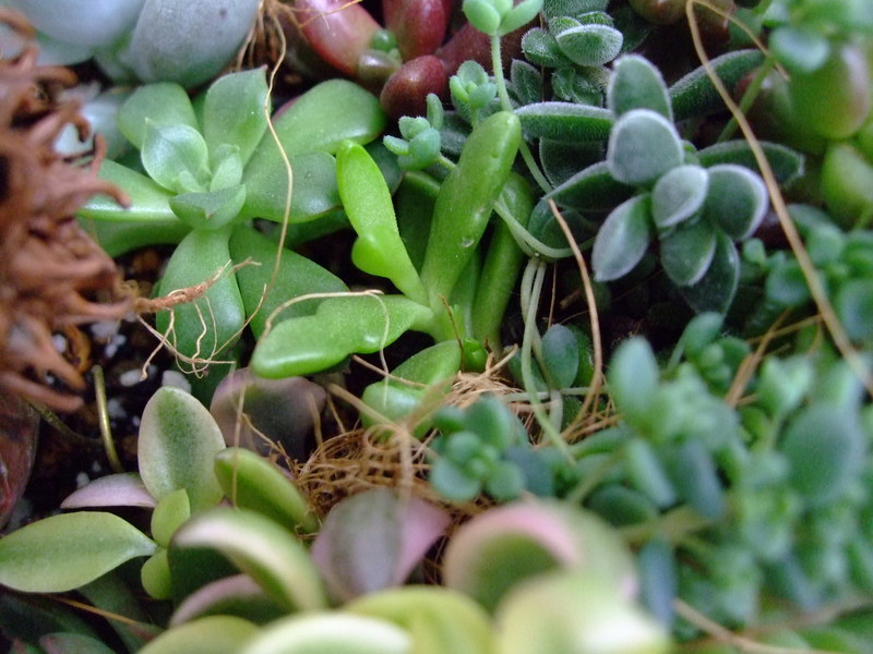 f0243726_11125611.jpg