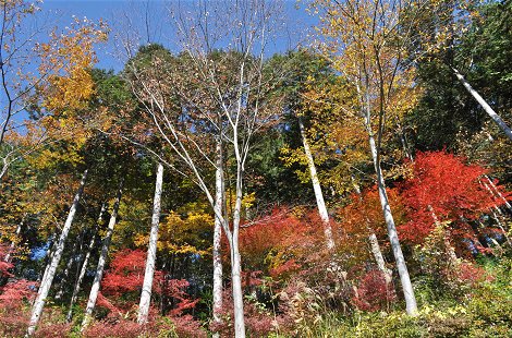 山梨で法事_c0045628_18211661.jpg