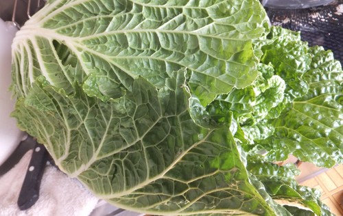 寒いので白菜の漬物つくり...._b0137932_12165376.jpg