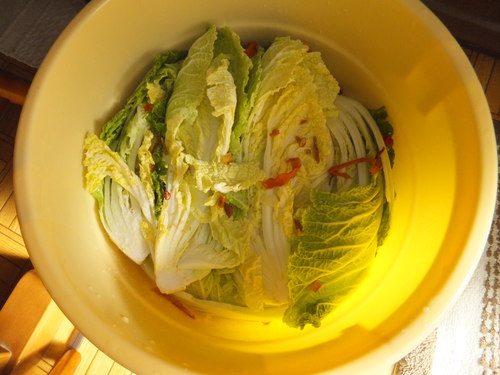 寒いので白菜の漬物つくり...._b0137932_12191743.jpg