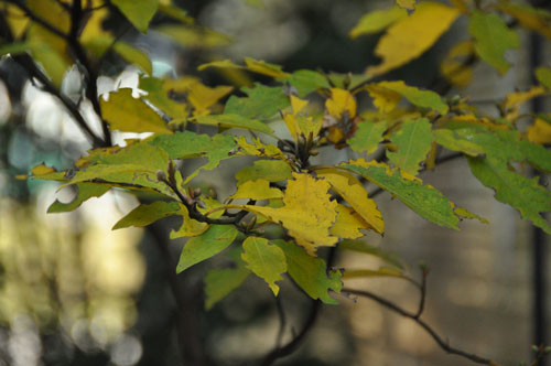 f0302638_22501239.jpg