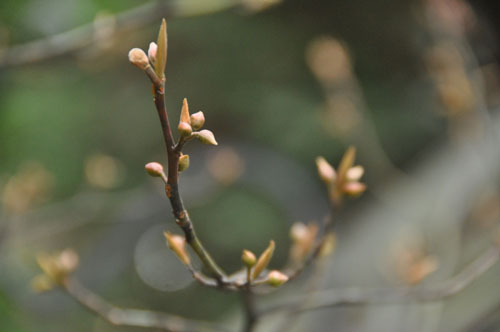 f0302638_22503421.jpg