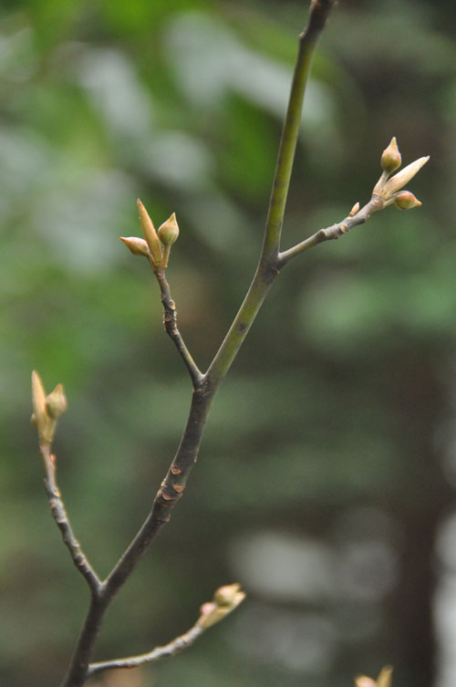 f0302638_22504247.jpg