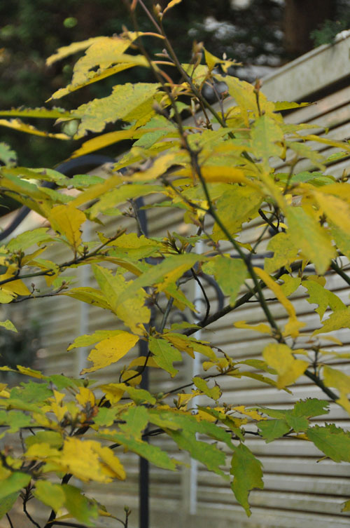f0302638_2250657.jpg