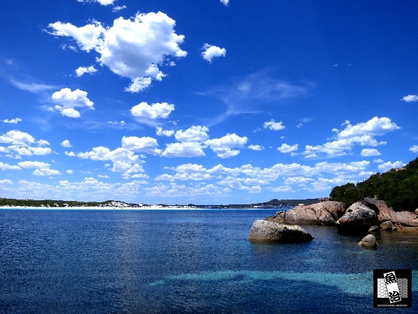 a0150039_19372657.jpg
