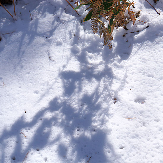 c0067040_2327305.jpg
