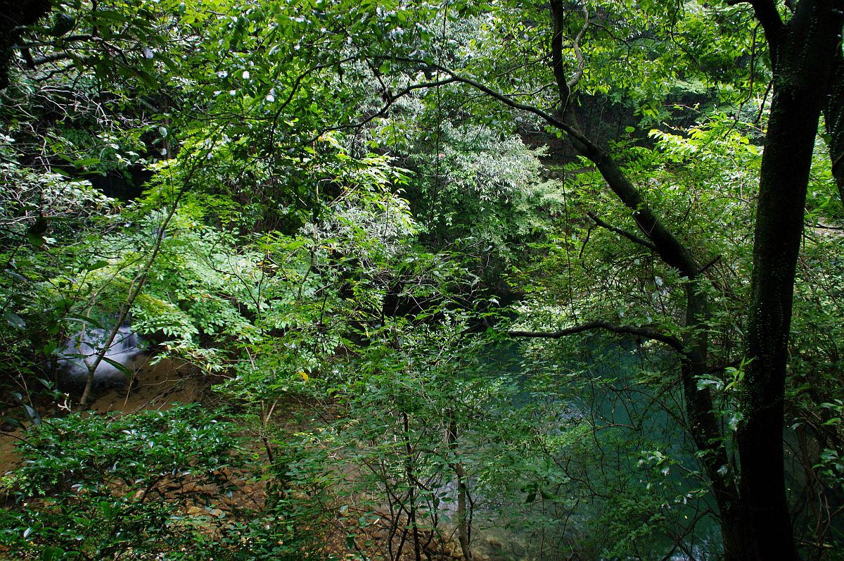 b0212342_14290420.jpg
