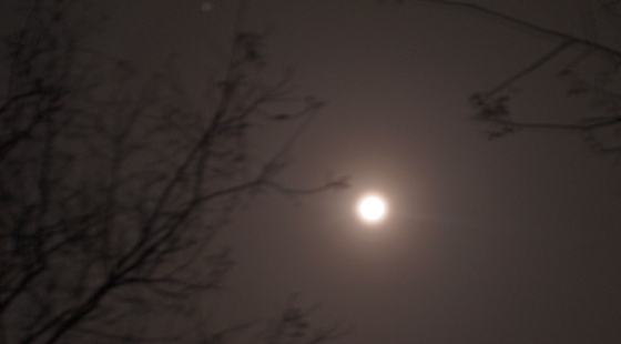 e0228147_1512251.jpg