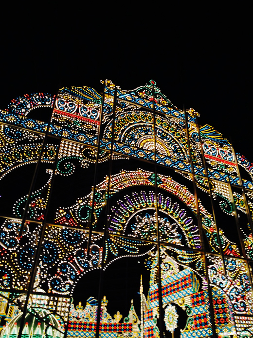 d0176753_16512538.jpg
