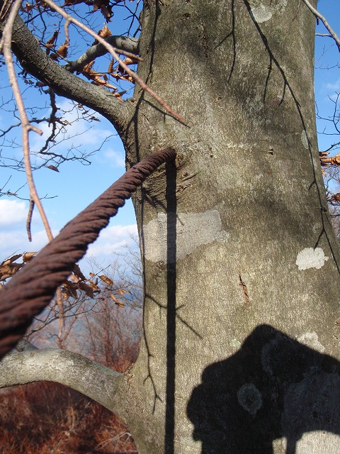 c0097754_22102068.jpg