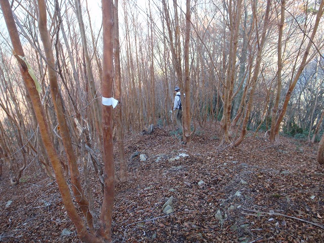 c0097754_22122432.jpg