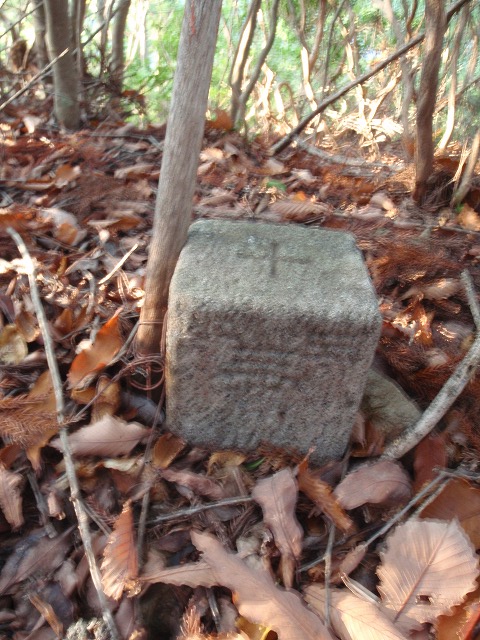 c0097754_22124312.jpg