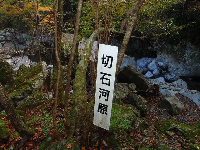 c0097754_2254330.jpg