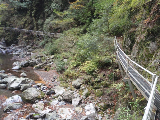 c0097754_2255774.jpg