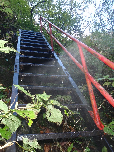 c0097754_226576.jpg