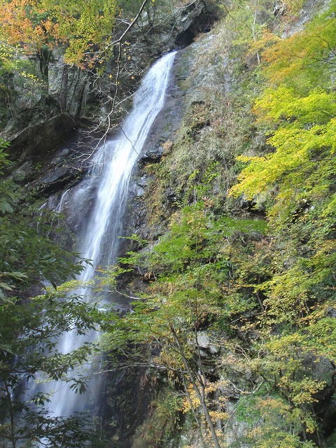 c0097754_2273859.jpg