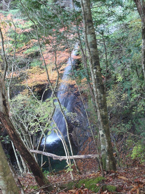 c0097754_228367.jpg